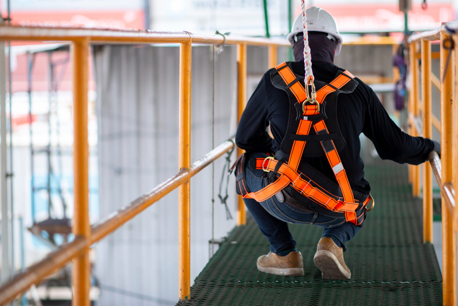 safety harness