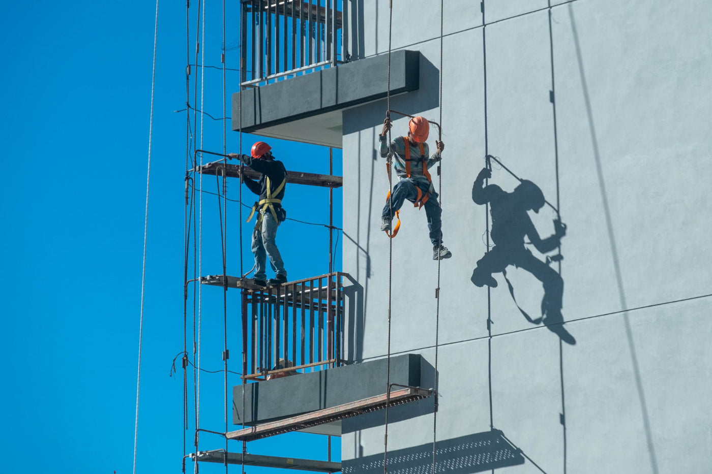 safety harness