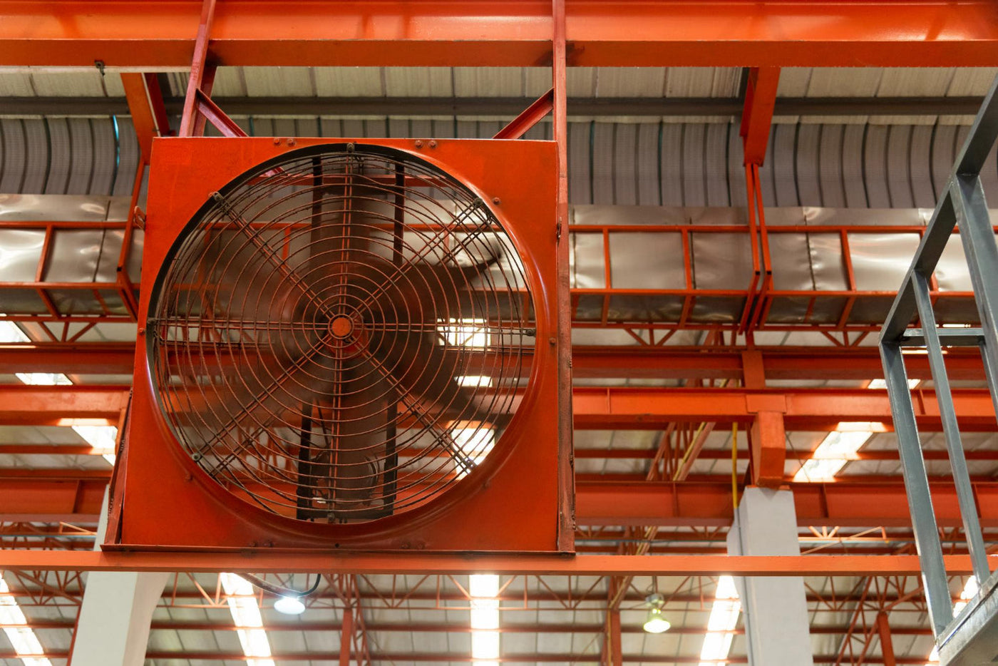 fan