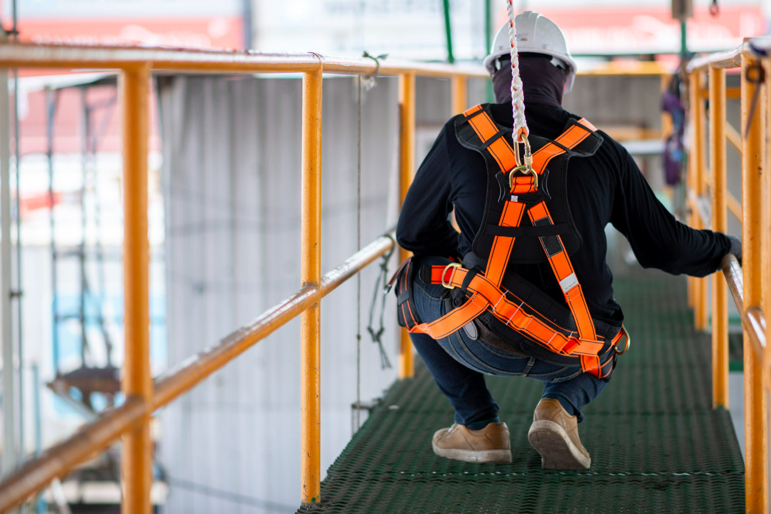 harness