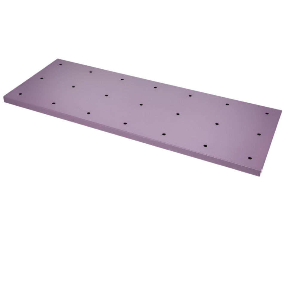 PRATT Shelf. Suits ASPH 160L & 250L Cabinets (5545PH-29S) - Ace Workwear