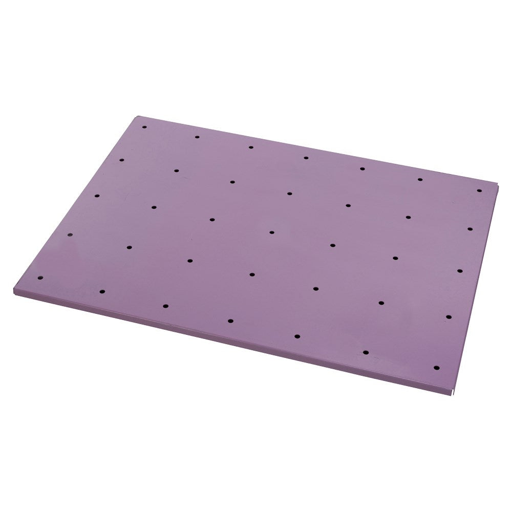 Pratt Shelf. Suits Asph 425L Cabinets (5590PH-29S) - Ace Workwear