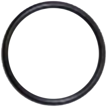 Pratt Black Washer For Stanchion Joint Suits All Elite Showers (570024) - Ace Workwear