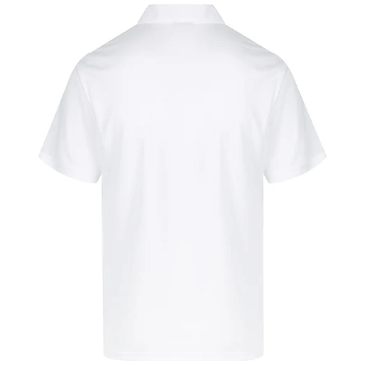 Aussie Pacific Botany Mens Polo (1307) - Ace Workwear