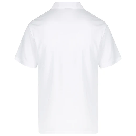 Aussie Pacific Botany Mens Polo (1307) - Ace Workwear