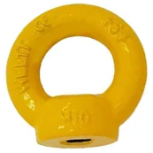 G80 Lifting Eye Nut M20 6T (Carton of 50) (LE0420) - Ace Workwear