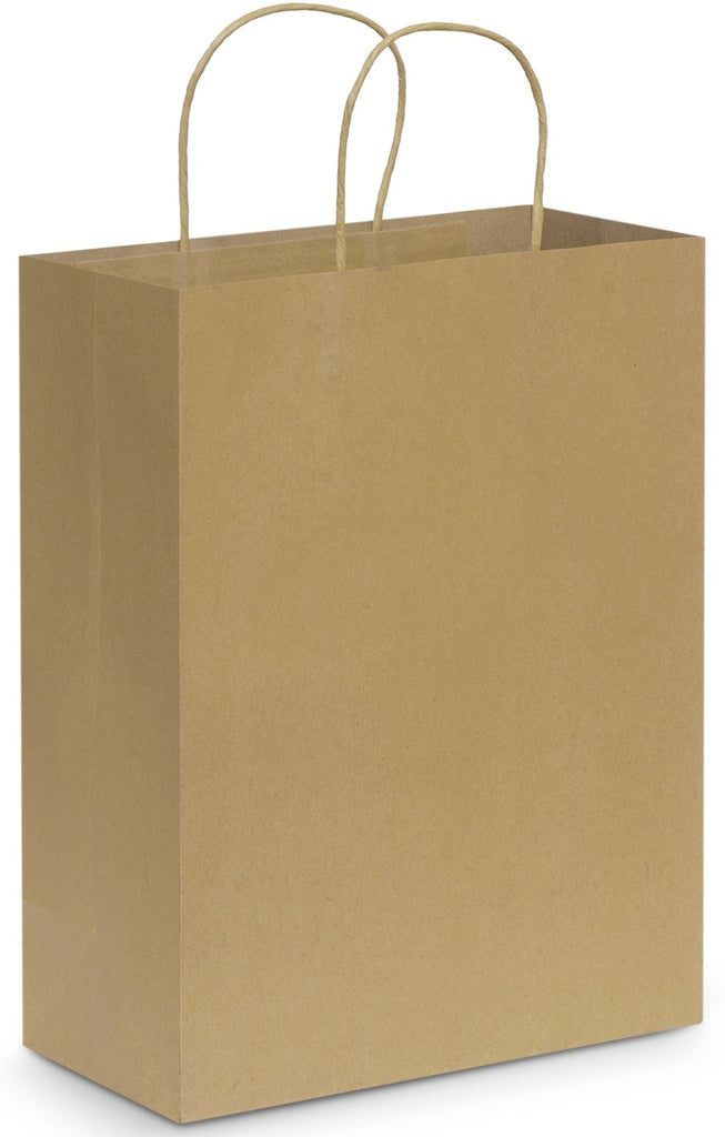Paper Carry Bag (Carton of 100pcs) (107590) Paper Bags, signprice Trends - Ace Workwear