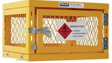 PRATT Aerosol Storage Cage. 1 Storage Level Up To 42 Cans. (Comes Flat Packed - Assembly Required) (PSGC1A-FP) Flat Packed Cages, signprice Pratt - Ace Workwear