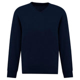 Biz Collection Mens Roma Pullover (WP916M) Knitwear Pullovers Biz Collection - Ace Workwear