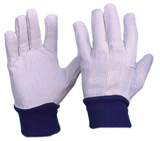 Cotton Drill Mens Gloves - Carton (300 Pairs) Cotton Gloves Ace Workwear - Ace Workwear